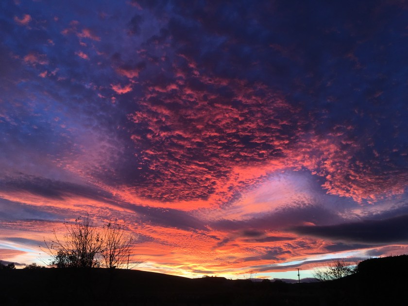 Glorious sunset, red, gold and deep blue to purple